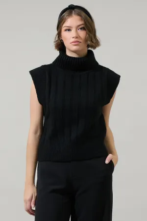 Anaya Turtle Neck Ribbed Sweater Top