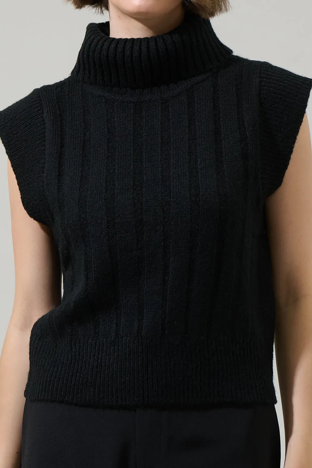 Anaya Turtle Neck Ribbed Sweater Top