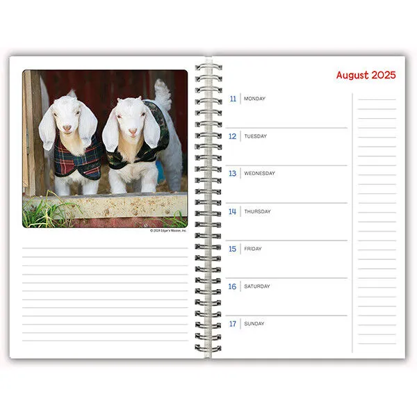 Sellers Publishing Lambies in Jammies 2025 Weekly Planner